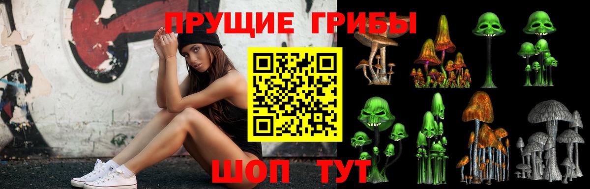 Галлюциногенные грибы Cubensis Кыштым